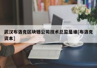 武汉布洛克区块链公司技术总监是谁[布洛克资本]